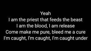 Metallica - Bleeding Me (Lyrics)