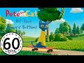 Pete The Cat And His Four Groovy Buttons 1 Hour Collection KittyCatCollection