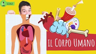 CORPO UMANO: CELLULE, TESSUTI, ORGANI E APPARATI - Le scienze spiegate ai bambini di scuola primaria