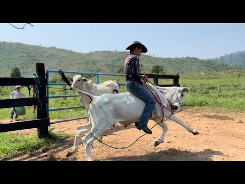 FUI DESAFIADO MONTAR NO GARROTE PULADOR