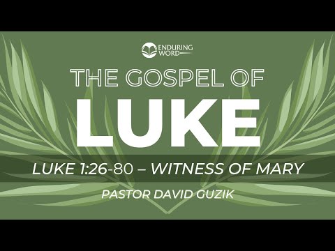 Luke 1:26-80 - Witness of Mary