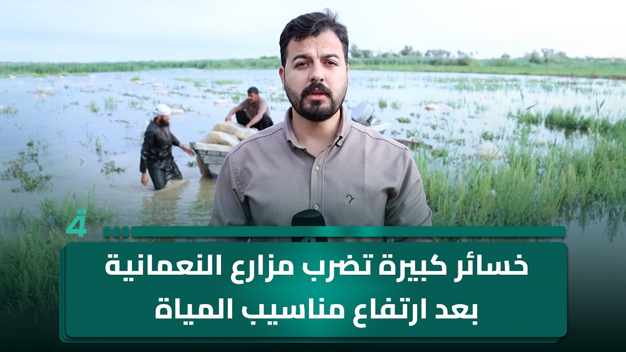 فيديو | خسائر كبيرة تضرب مزارع النعمانية بعد ارتفاع مناسيب المياة