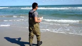 preview picture of video 'Yellow Neck Fishing - Puppy drum release'