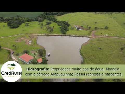 🌾 Fazenda à venda em BELA VISTA DE GOIÁS-GO - 33 Alqueires - CredRural Imóveis 🌾