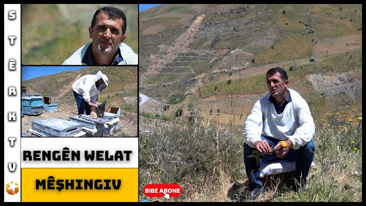 Rengên Welat - Mêşhingiv