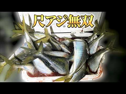 Trying Various Fishing Methods to Conquer Winter Ajing (Horse Mackerel Fishing) in Japan