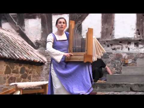 Falkenlied  - Claudia Heidl