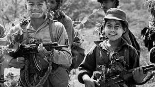 The Clash &#39;Washington Bullets&#39; 1980 Sandinista