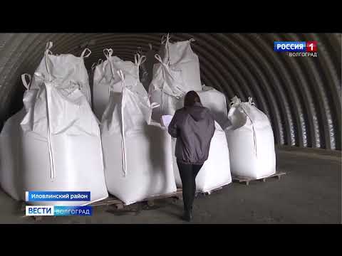 В Волгограде инспектора Управления Россельхознадзора провели фитосанитарный контроль семян