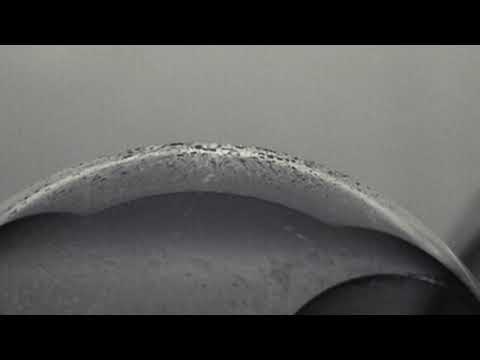 Surrogate Sibling - Fen