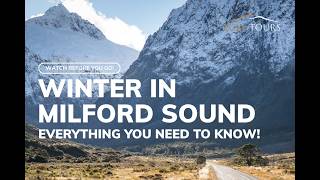 Milford Sound in Winter: Everything you need to know