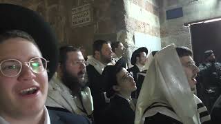 12פייסל