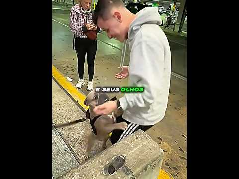 Ele reencontrou seu cachorro 1 ano depois ❤️