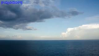 [" the human frequency"]  ☁️ Trailer ☁️