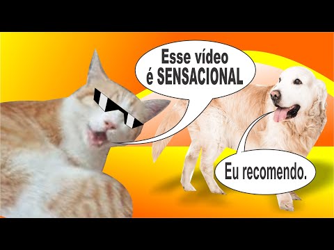 [VÍDEO DE ANIMAIS ENGRAÇADOS] #2021