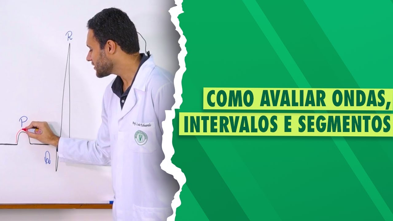 Eletrocardiograma Veterinário