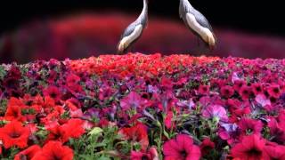 Song of Your Heart by Snatam Kaur and Peter Kater