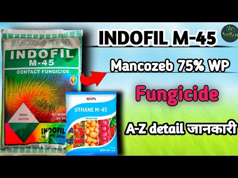 Star M-45 Mancozeb 75% WP  Fungicide