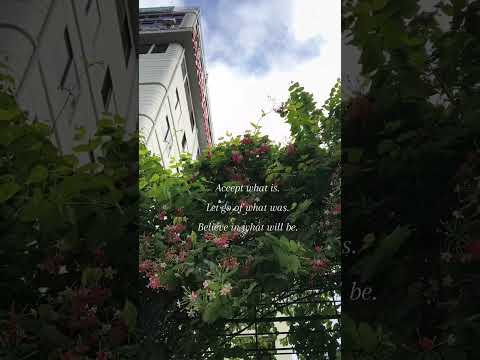 Acceptance #quotes #thoughts #positivevibes #fypシ゚viral #fypviralシ #fypyoutube #shorts #nature