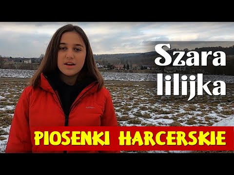 Piosenki harcerskie - Szara lilijka - Amelia Sobczyk - Podkład muzyczny - Jangok