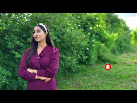 Lidia - Nu Renunța, Nu te da bătut