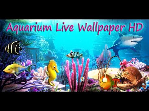 Aquarium Live Wallpaper HD Video