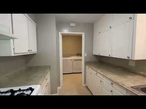 Mitchell, 1341 - Video 2 of 2