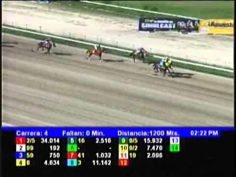 Resumen La Rinconada - lunes 10 de diciembre de 2012