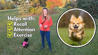 Improve Your Dog's Recall & Engagement With THIS Easy Game!