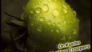Dr.Kucho - Shadow Troopers