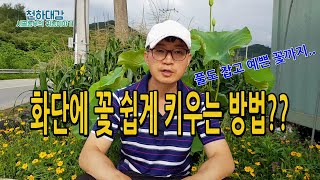 화단에 꽃 쉽게 키우기 / 화단만들기 / 잡초제거