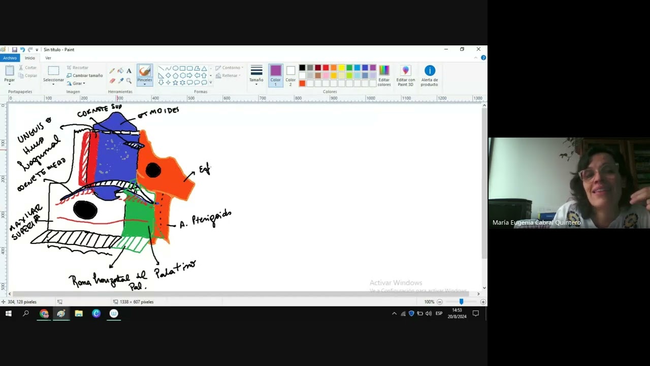 CURSO ANATOMIA X ESQUEMAS - 3er Clase: Fosas Nasales, Laringe y Segmentación Bronco Pulmonar