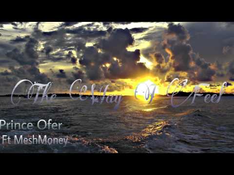 Prince Ofer Ft MeshMoney   The Way I Feel