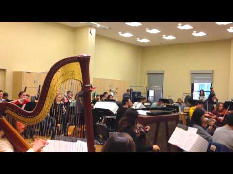 MUSHWAN - GIORGI MIKADZE