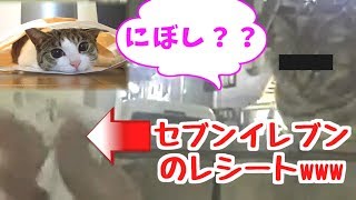 【ツイキャスライブ】可愛い猫をおちょくった結果www