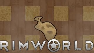 Video 3