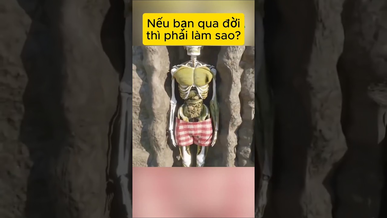 Nếu bạn vô tình qua đời thì phải làm sao?