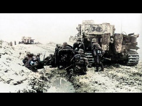 NARVA 1944: Wie estnische und deutsche Einheiten die Rote Armee ein halbes Jahr lang aufhielten