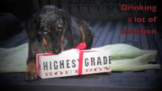 dropping out of sight for awhile