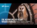 Kerkuilen blij met nieuwe zitplek langs snelweg