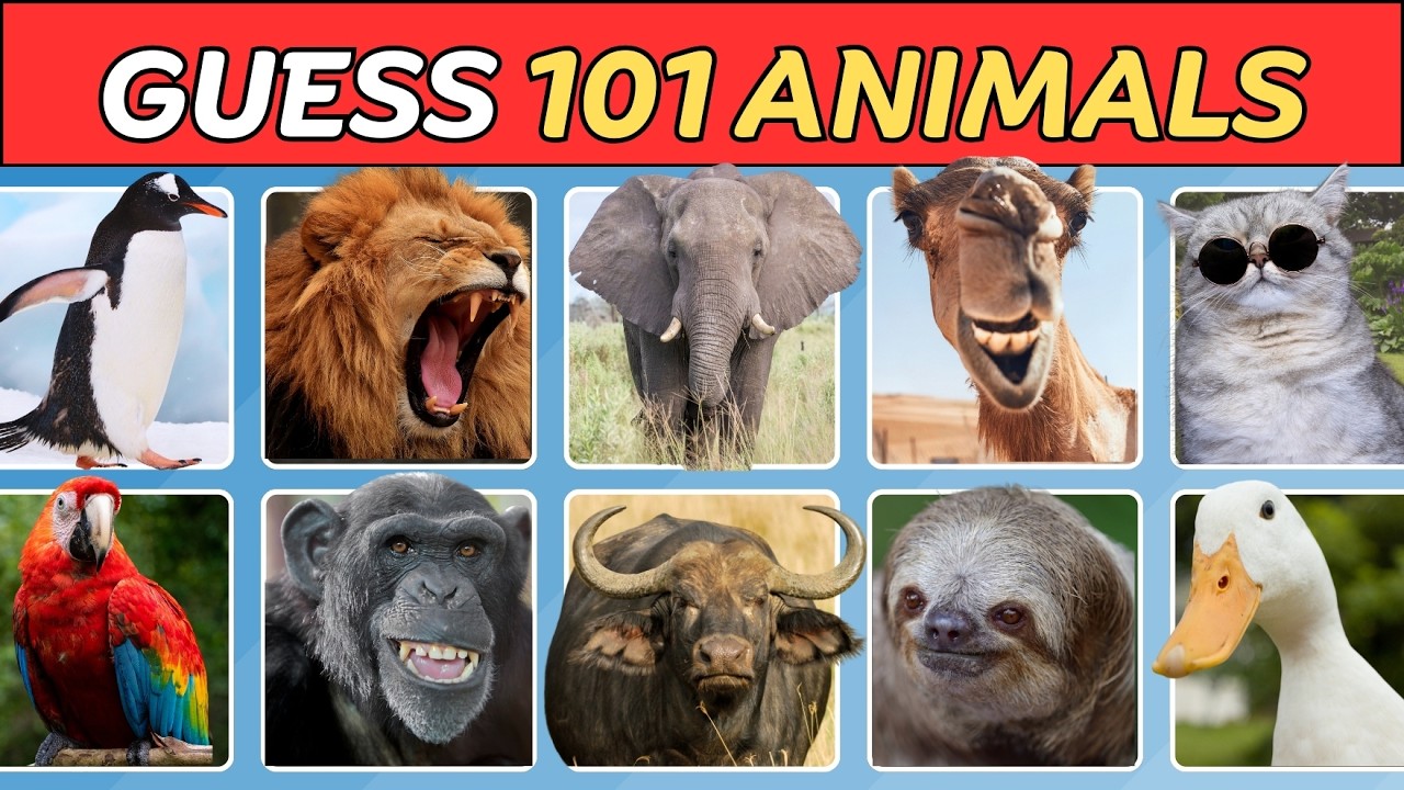 Guess 101 Animals 🦥🐿️ | Can You Guess All 101 Animals? Ultimate Animal Quiz Challenge