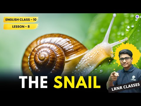 LESSON 8 THE SNAIL by WILLIAM COWPER | Bangla Explanation Line by Line