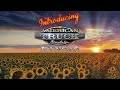 关于 American Truck Simulator: Kansas  所有平台  的游戏实况视频