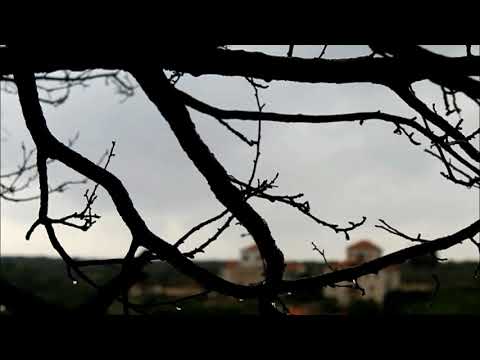 Mad World, Beautiful Piano, Gentle Rain Sound, Sad Music, Relax, Sleep, Study, Inner Peace.