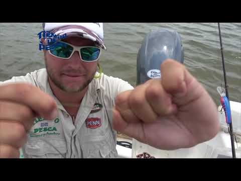 Recommended equipment for trolling