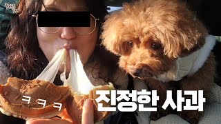 꼬니에게 진심으로 사과했습니다... 