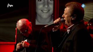 If I Could - Toots Thielemans &amp; John Miles