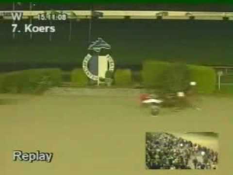 Giganten 2008 - Copper Beech