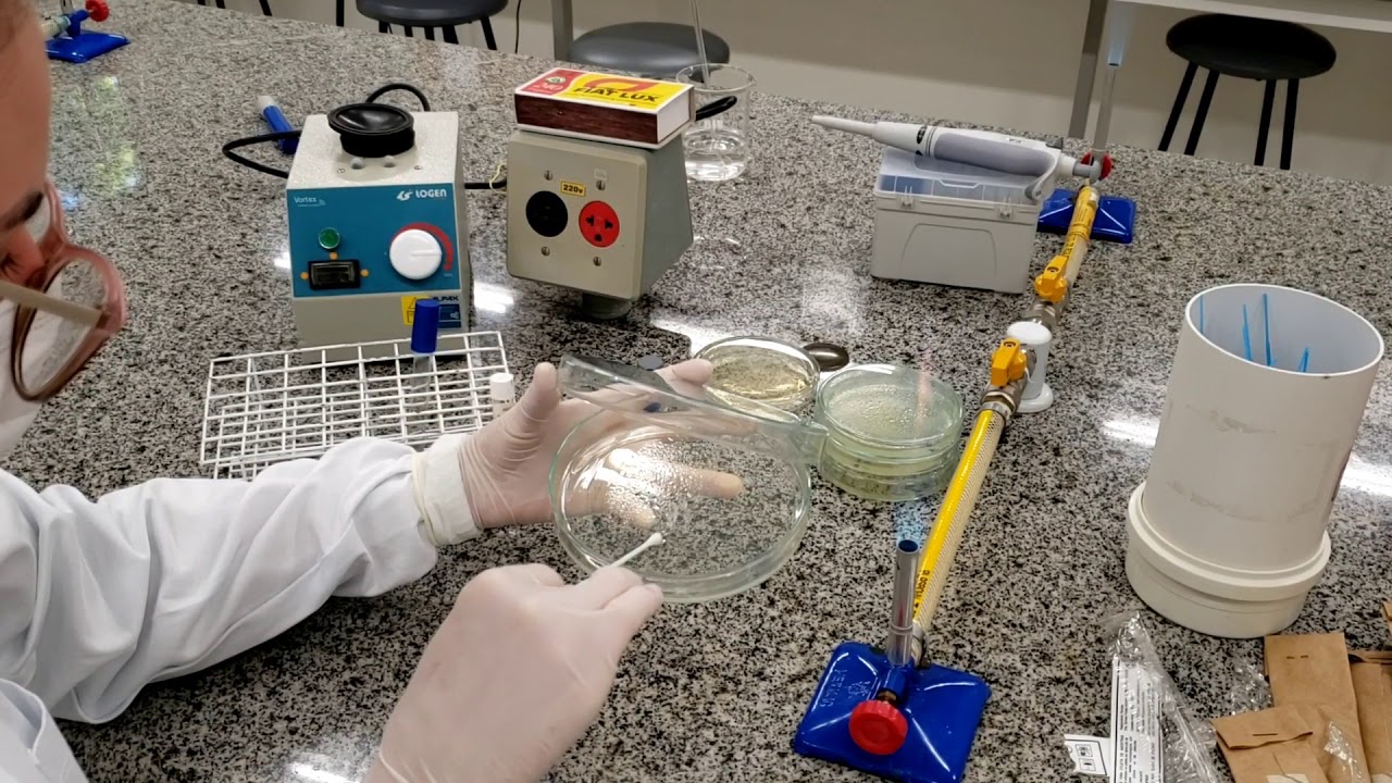 Microbiologia - Técnica de Antibiograma