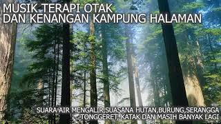 Download lagu [NO ADS] suara suasana hutan hujan serangga tonggeret dan burung - bikin kangen kampung halaman mp3